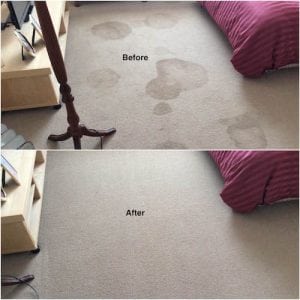 gallery Images : Harris Carpet & Floors